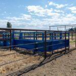 Bozeman MT 59718 - 20