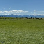 4807 Jordan Spur Road