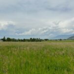 Bozeman MT 59715 - 6