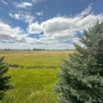 Bozeman MT 59718 - 8