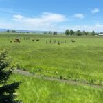 Bozeman MT 59718 - 9