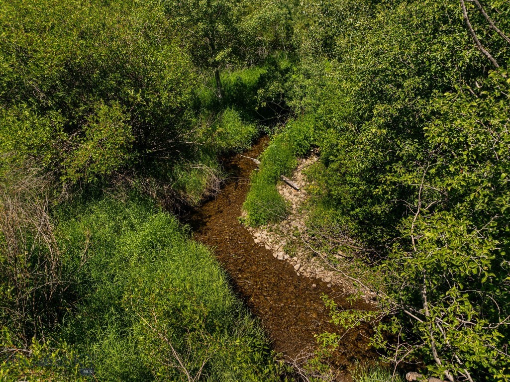 Bozeman MT 59715 - 3