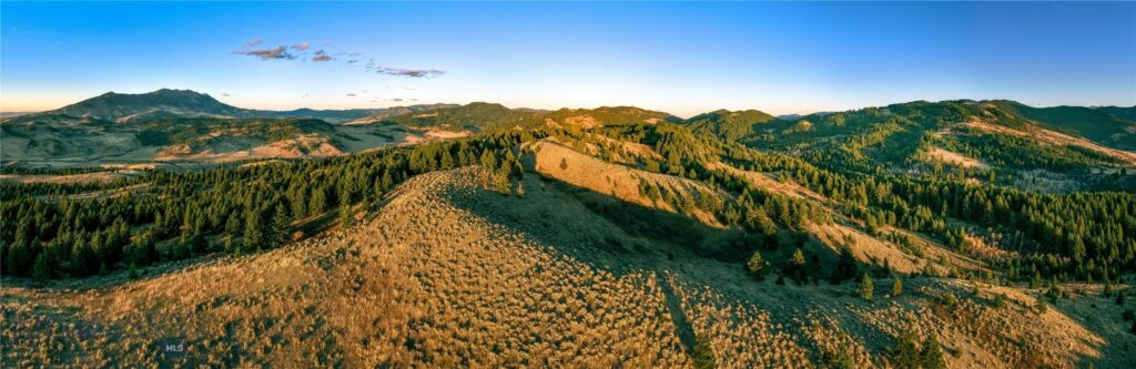 495 Moffit Gulch Road