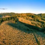 495 Moffit Gulch Road