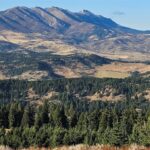 Bozeman MT 59715 - 6