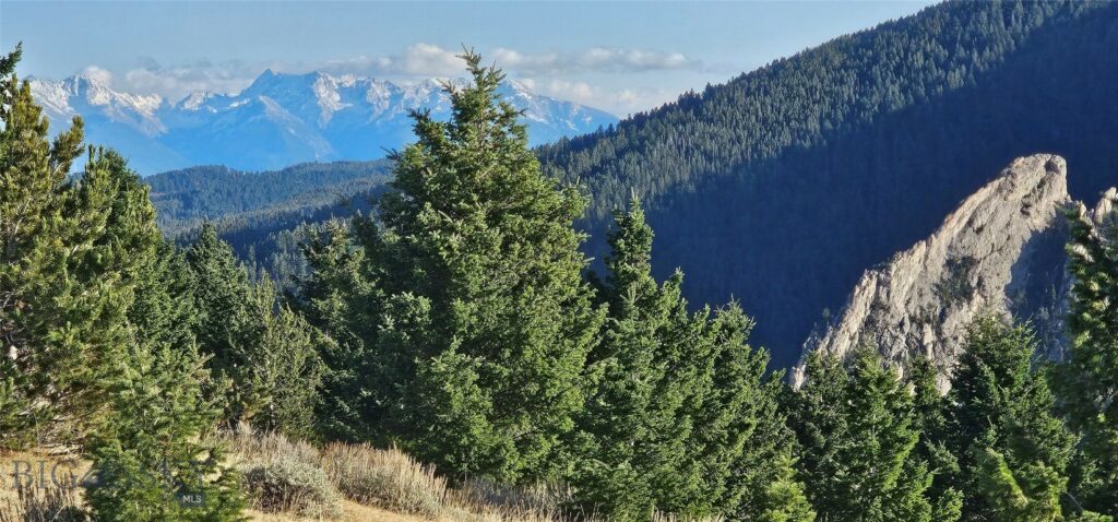 495 Moffit Gulch Road