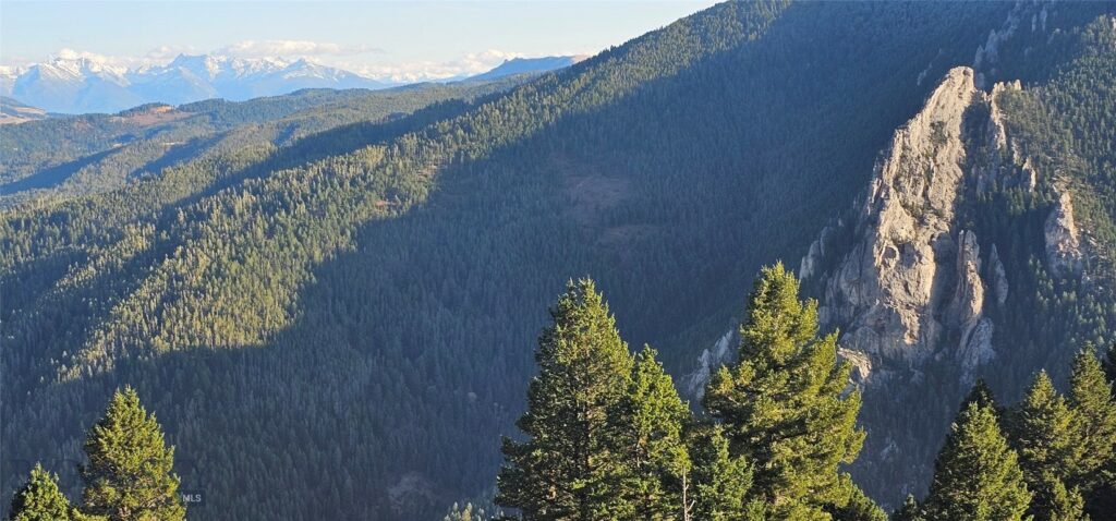 495 Moffit Gulch Road