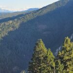 495 Moffit Gulch Road