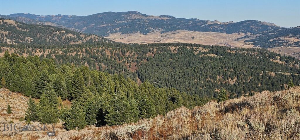 Bozeman MT 59715 - 8