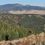 Bozeman MT 59715 - 8