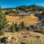 495 Moffit Gulch Road