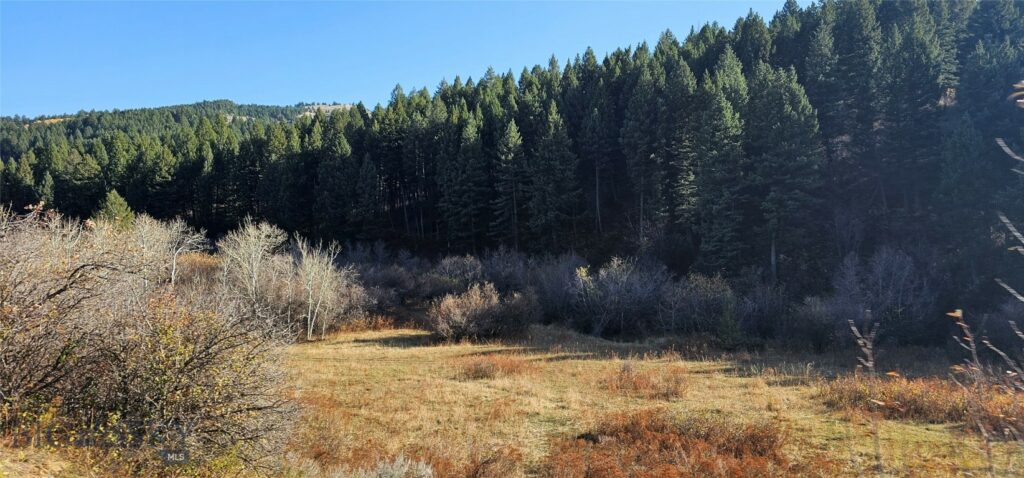 495 Moffit Gulch Road