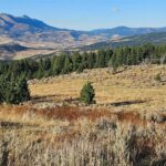 Bozeman MT 59715 - 9