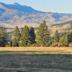 495 Moffit Gulch Road