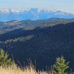 Bozeman MT 59715 - 10