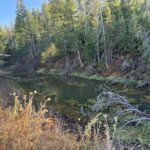 Bozeman MT 59715 - 11