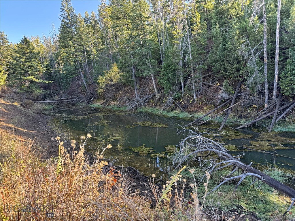 Bozeman MT 59715 - 11