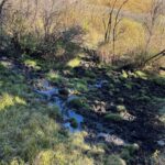 495 Moffit Gulch Road