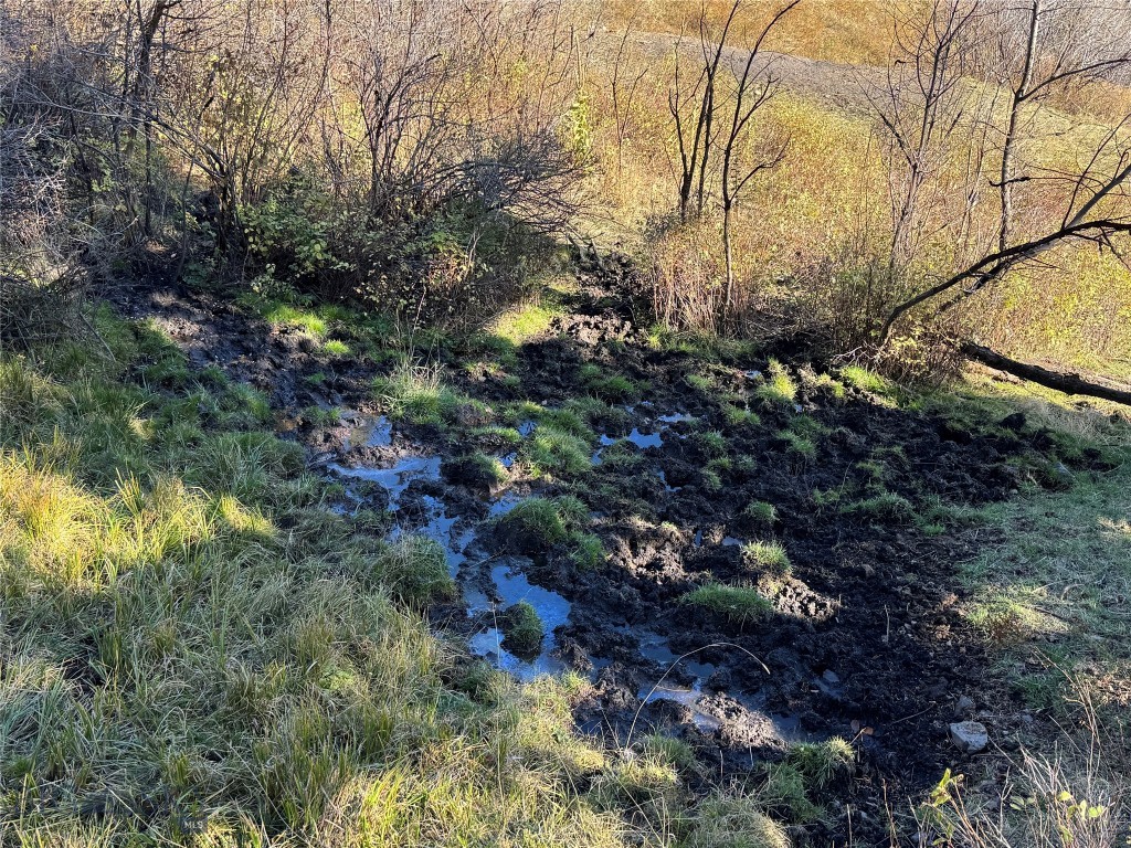 495 Moffit Gulch Road