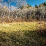 495 Moffit Gulch Road