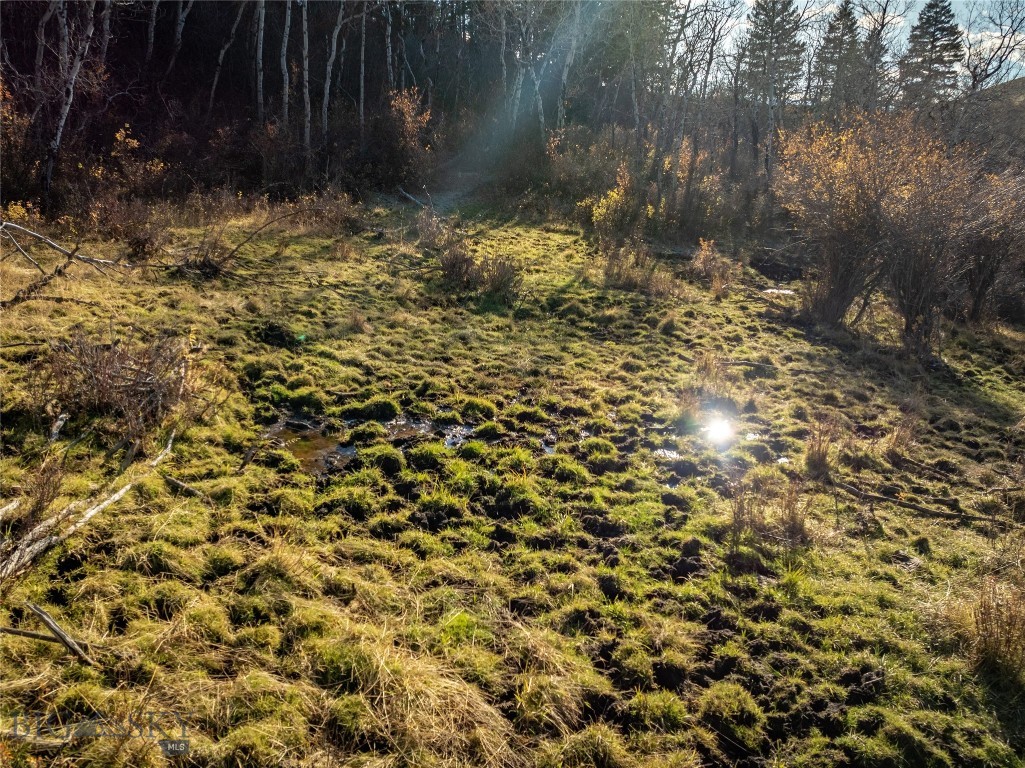 Bozeman MT 59715 - 13