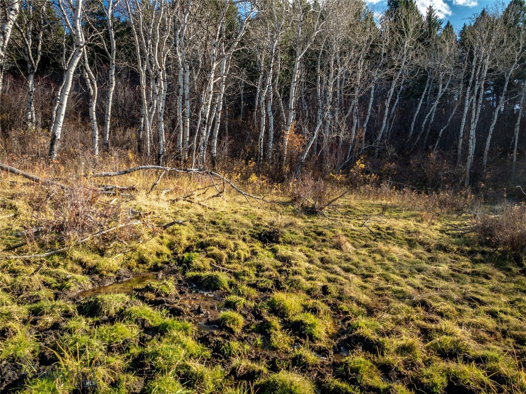 Bozeman MT 59715 - 14