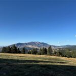 Bozeman MT 59715 - 2