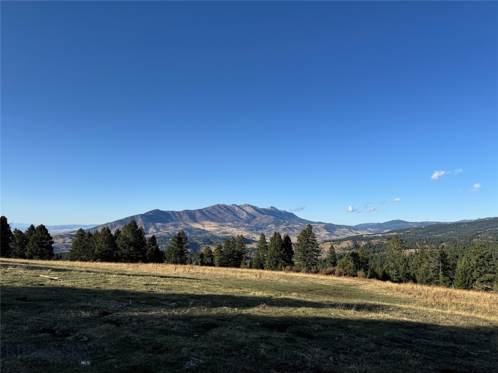 Bozeman MT 59715 - 2