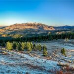 495 Moffit Gulch Road