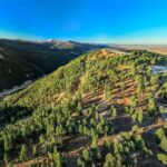 495 Moffit Gulch Road