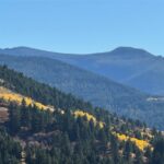 495 Moffit Gulch Road