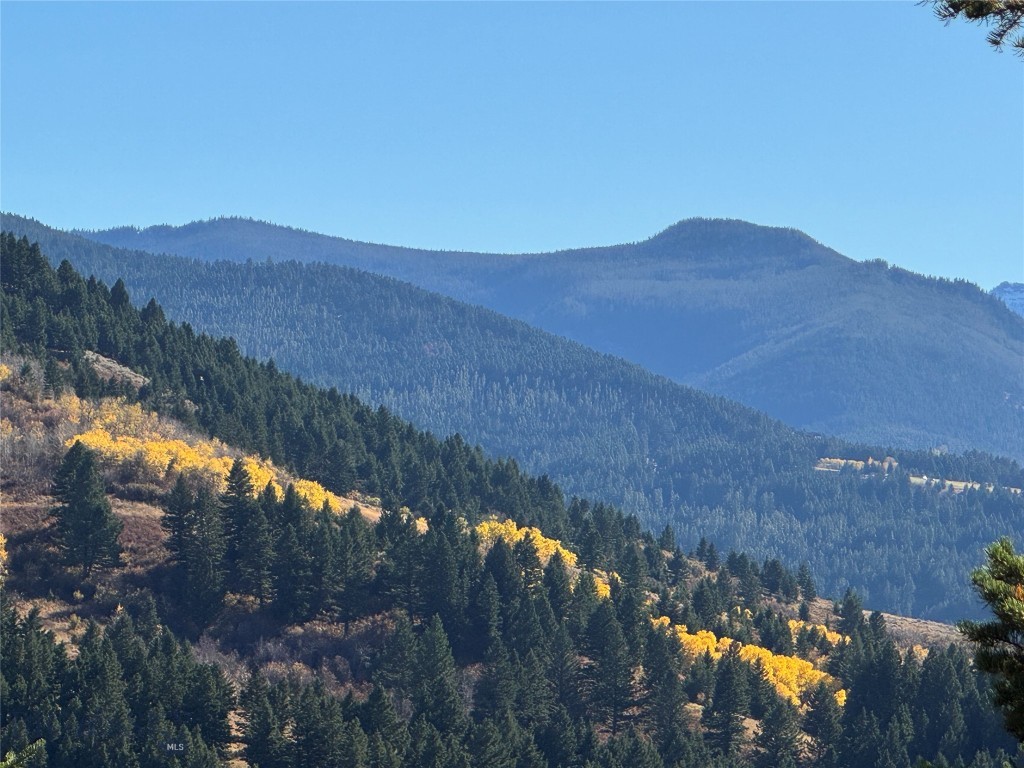 495 Moffit Gulch Road