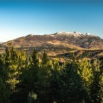 Bozeman MT 59715 - 21