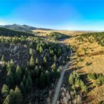 495 Moffit Gulch Road