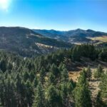 Bozeman MT 59715 - 22