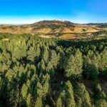 Bozeman MT 59715 - 3