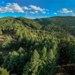 495 Moffit Gulch Road