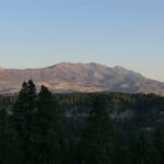 Bozeman MT 59715 - 5