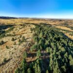 Bozeman MT 59715 - 6