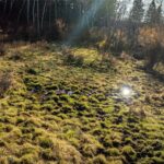 495 Moffit Gulch Road