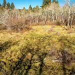 Bozeman MT 59715 - 8