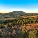 495 Moffit Gulch Road