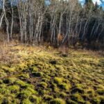 495 Moffit Gulch Road