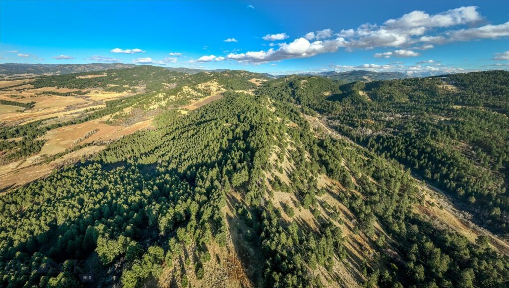 Bozeman MT 59715 - 10