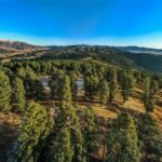 495 Moffit Gulch Road