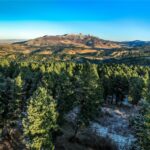 495 Moffit Gulch Road