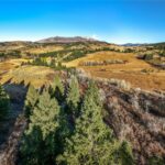 495 Moffit Gulch Road