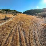 Bozeman MT 59715 - 16