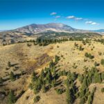 495 Moffit Gulch Road