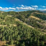 Bozeman MT 59715 - 18